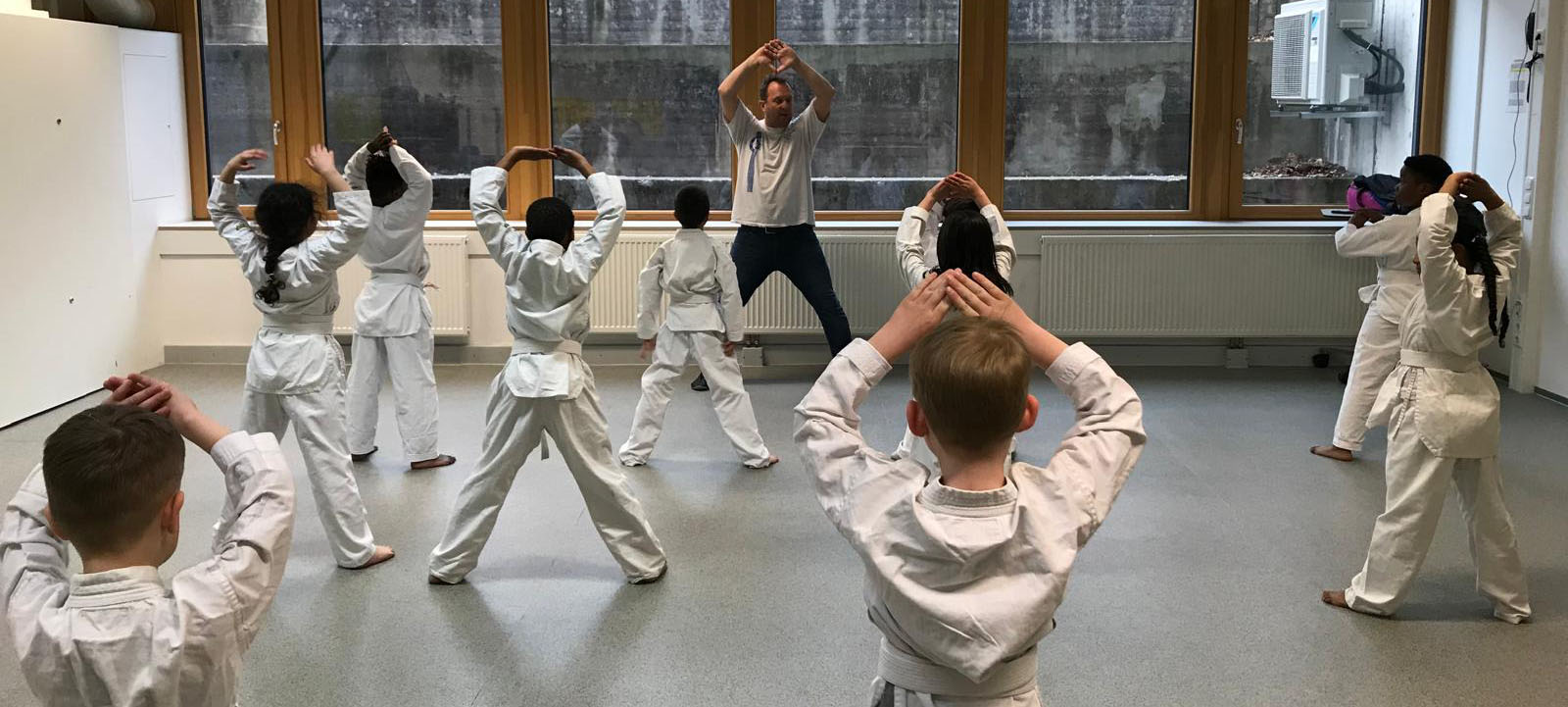 Taekwondo
