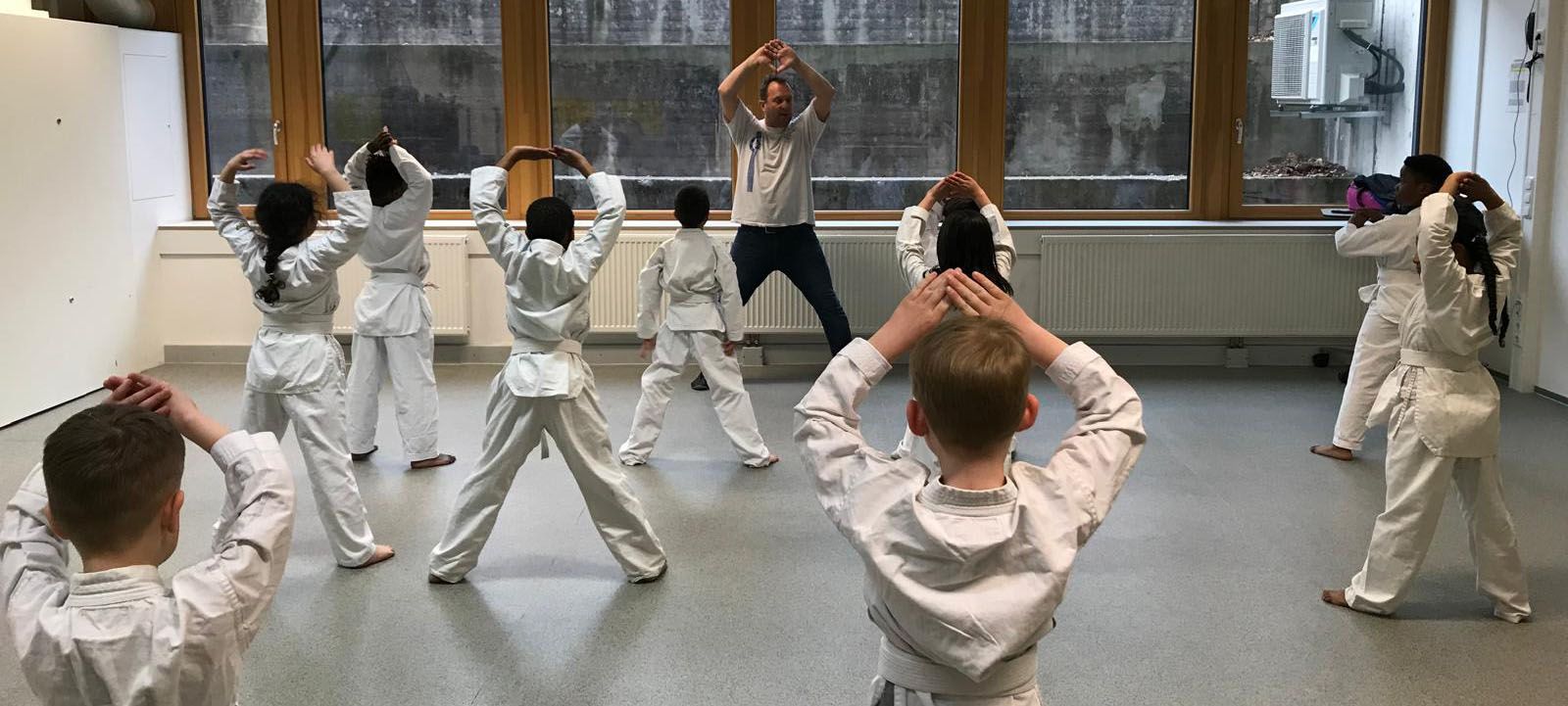 Taekwondo